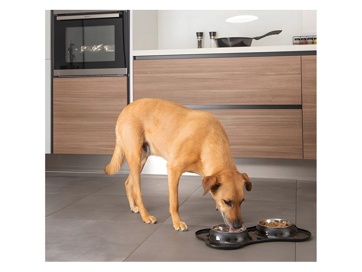 Gamelle Double pour Chien "Forme Os" 45cm Noir