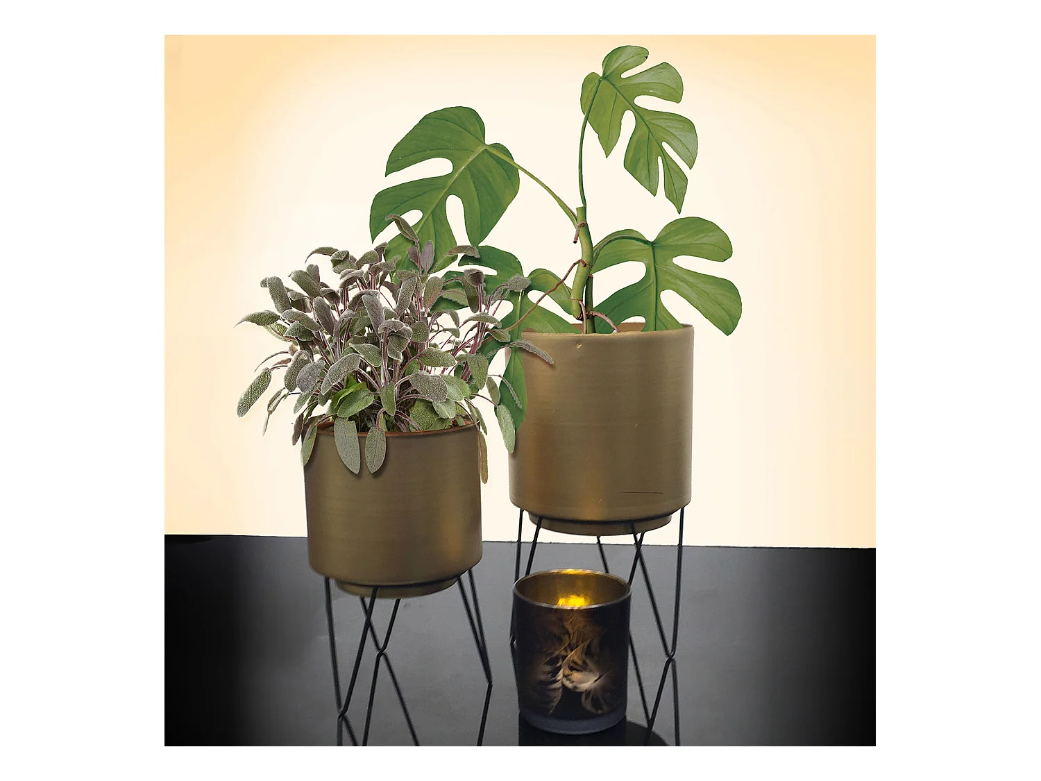 Pot De Fleur Pied Filaire X2 Or