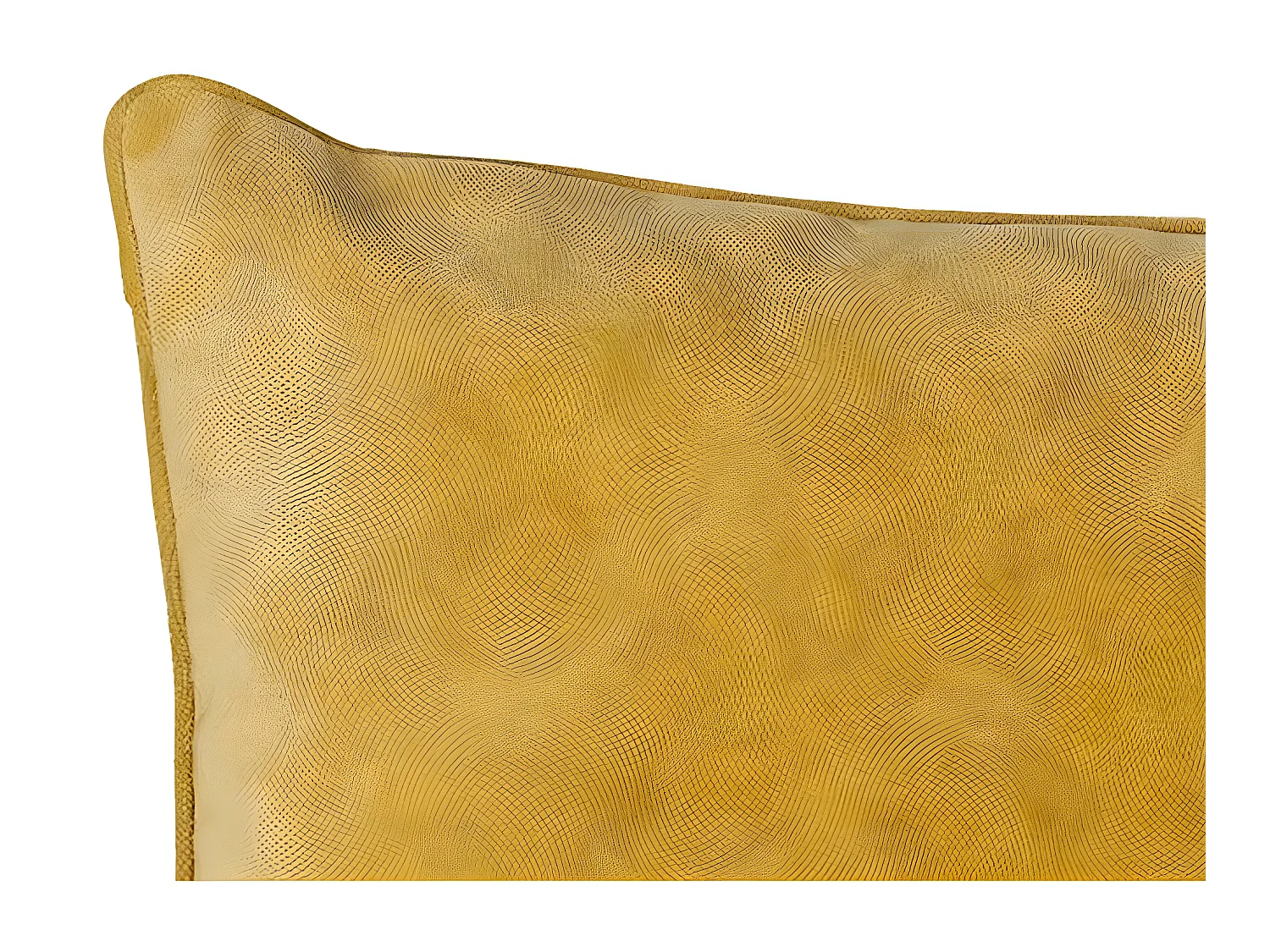 Coussin "Lilou" Effet velours 45 x 45 cm Atmosphera