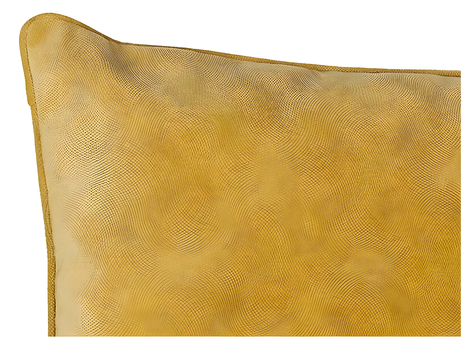 Coussin "Lilou" Effet velours 45 x 45 cm Atmosphera