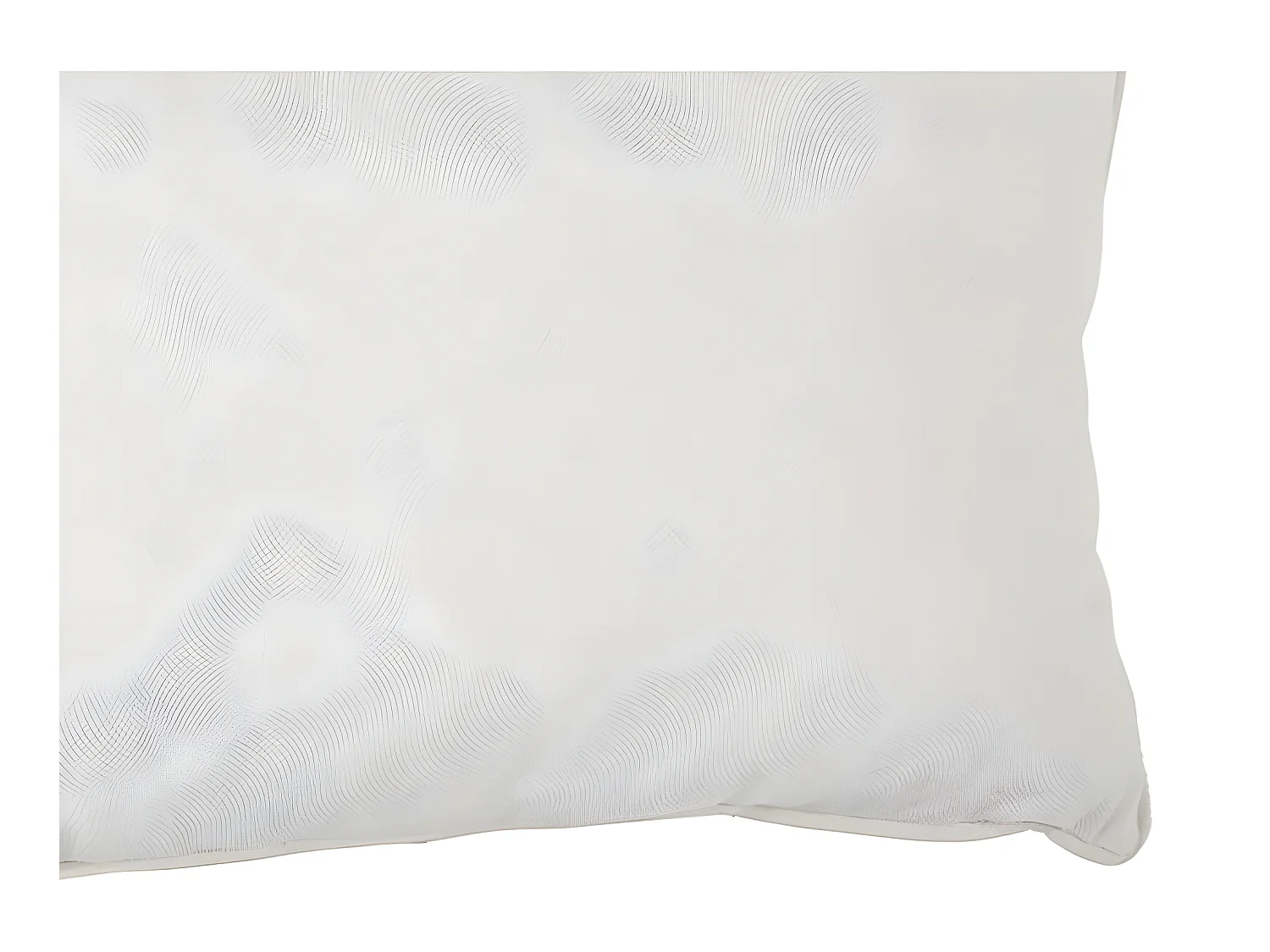 Coussin "Lilou" Effet velours 30 x 50 cm Atmosphera