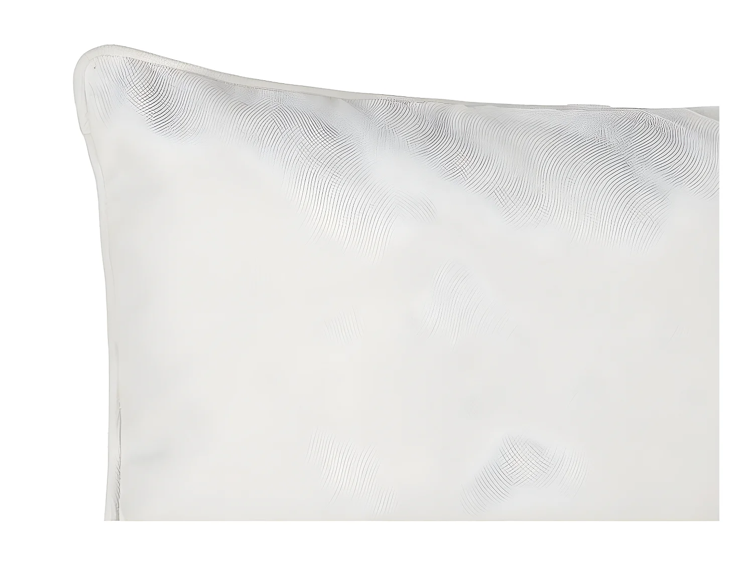 Coussin "Lilou" Effet velours 30 x 50 cm Atmosphera