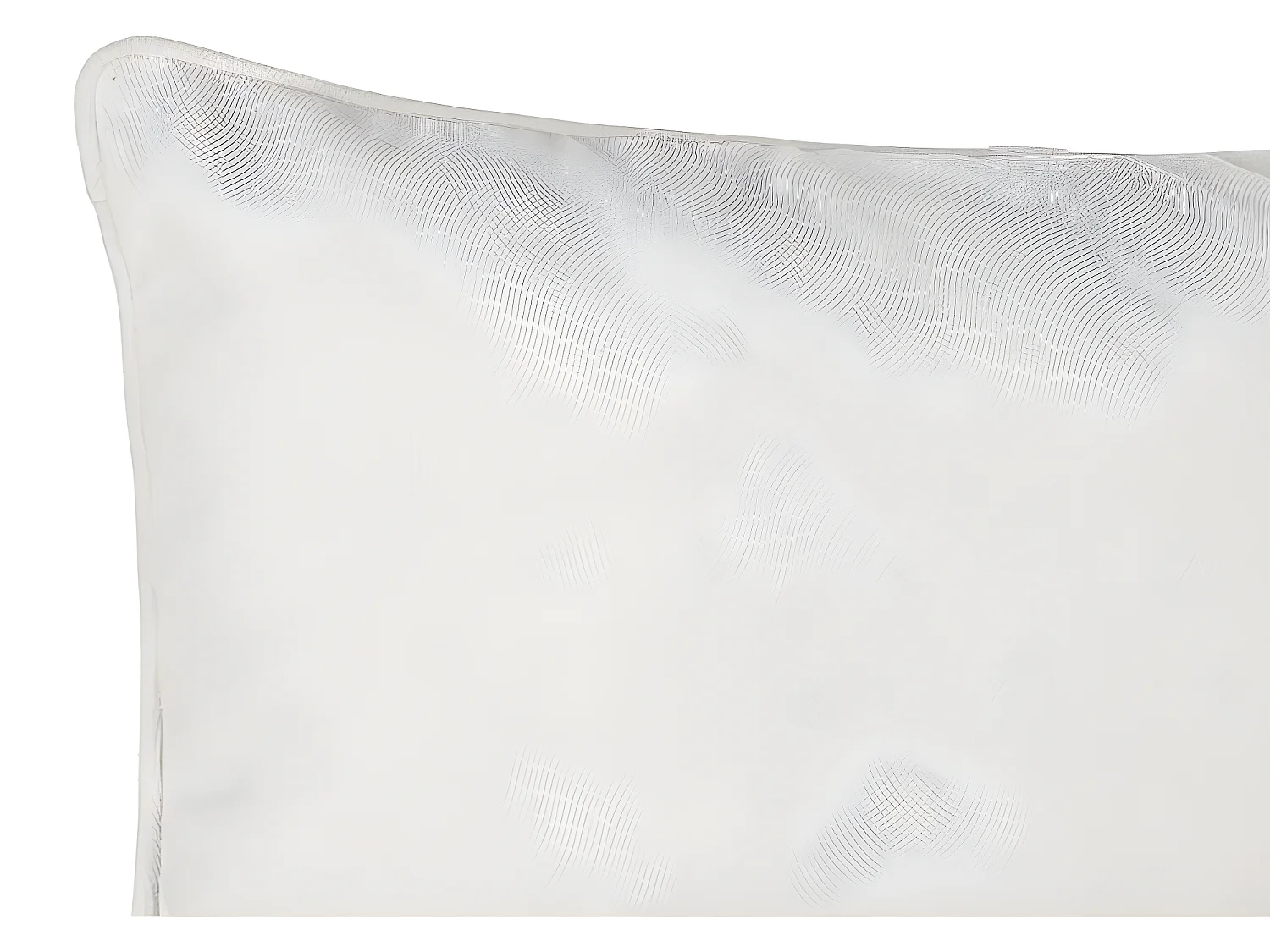 Coussin "Lilou" Effet velours 45 x 45 cm Atmosphera