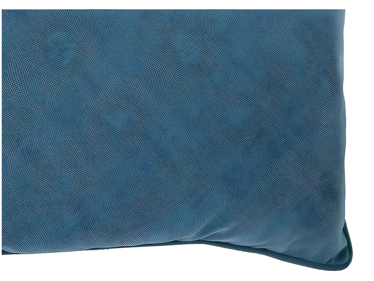 Coussin "Lilou" Effet velours 30 x 50 cm Atmosphera