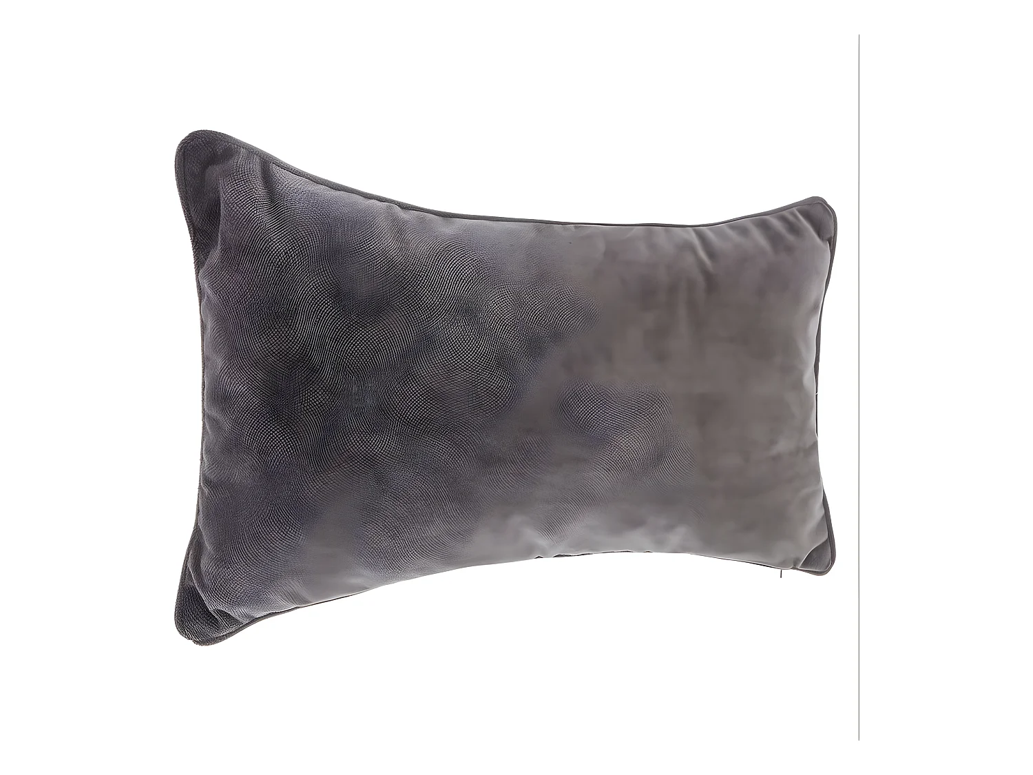 Coussin "Lilou" Effet velours 30 x 50 cm Atmosphera