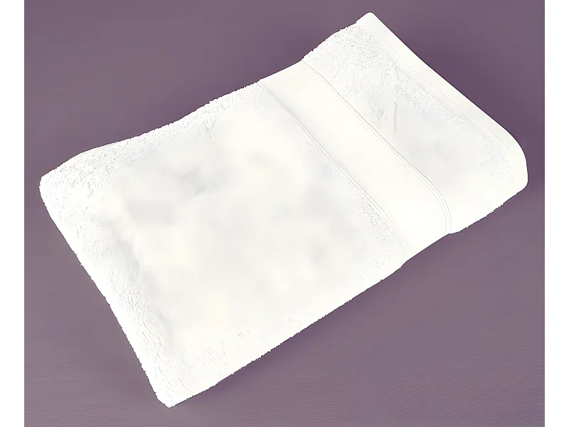 Serviette éponge Naîa 50 x 90 cm / 550 gr/m² Vent du sud