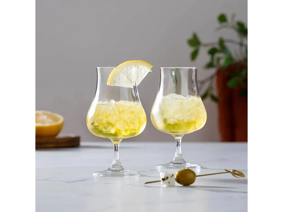 Lot de 4 Verres Design "Liqueur" 22cl Transparent
