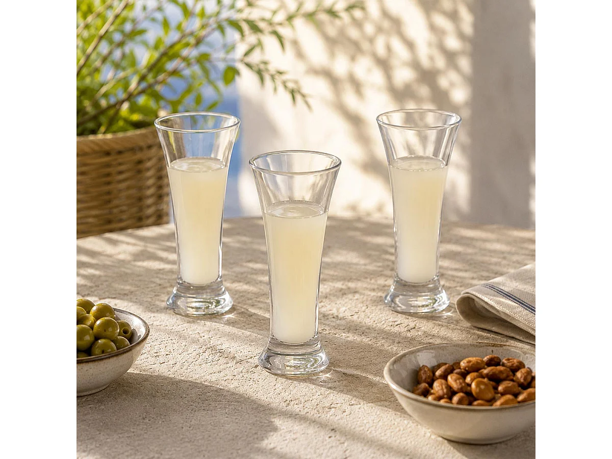 Lot de 6 Verres à Pastis "Marius" 18cl Transparent