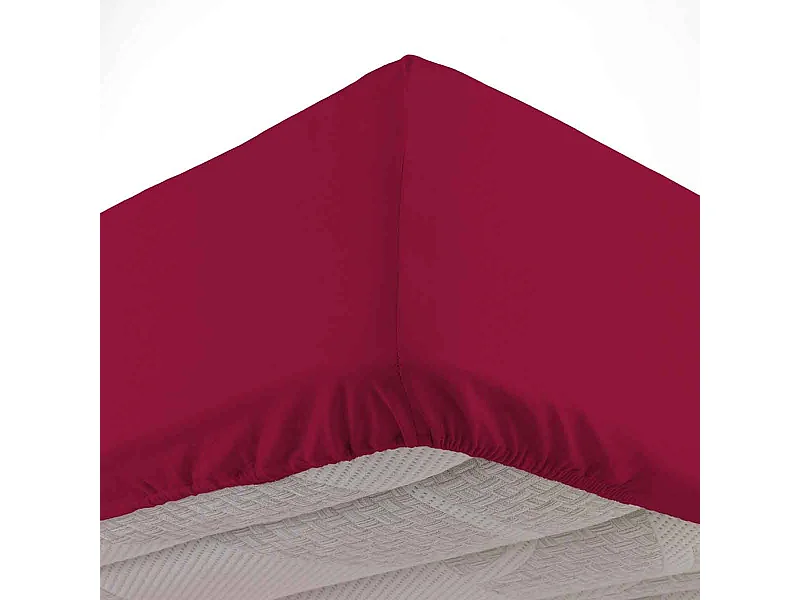 Drap Housse en Coton "Biolina" 140x190cm Bordeaux