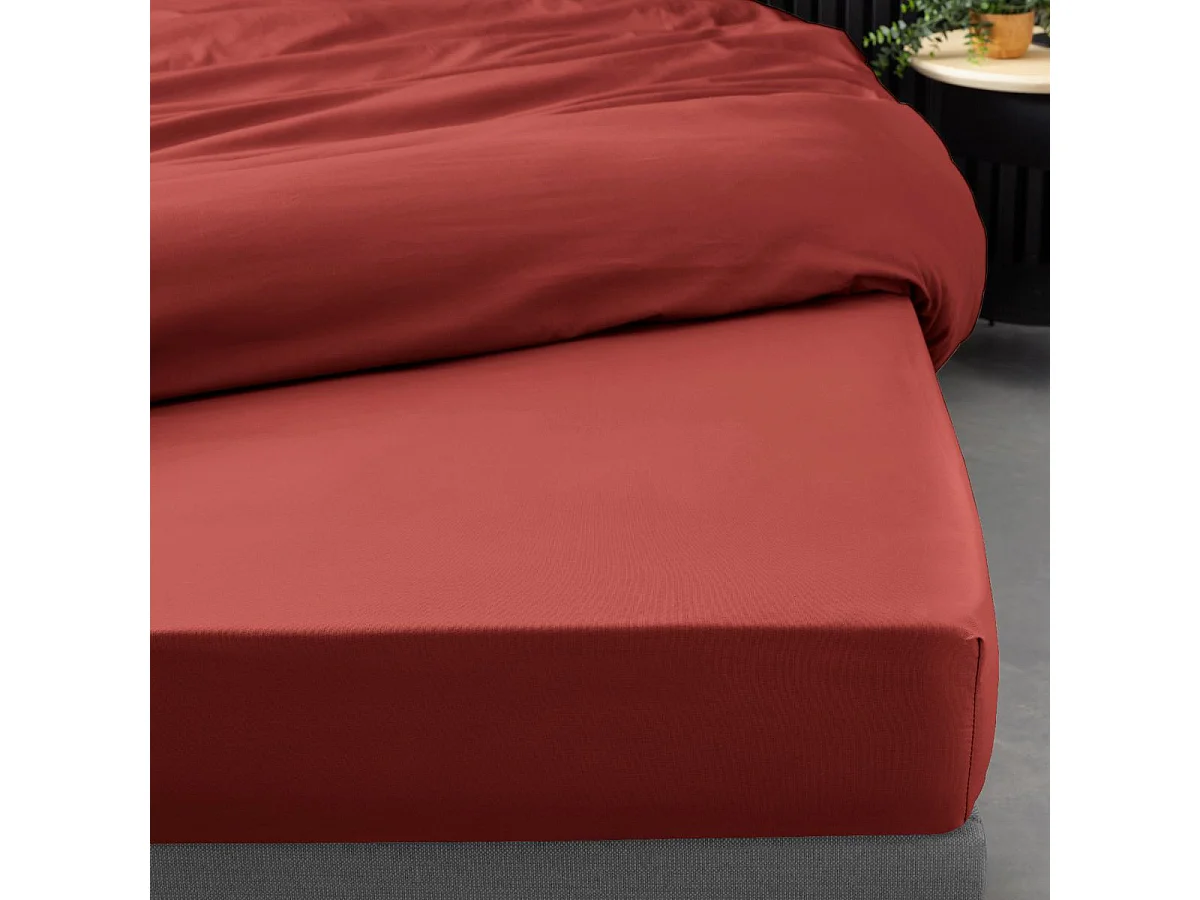 Drap Housse "Percaline" 90x190cm Terracotta