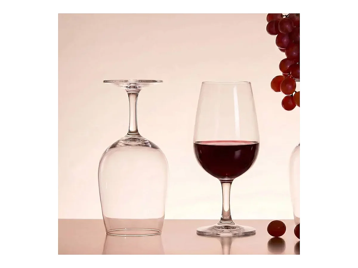 Lot de 6 Verres à Vin "Viticole" 21cl Transparent