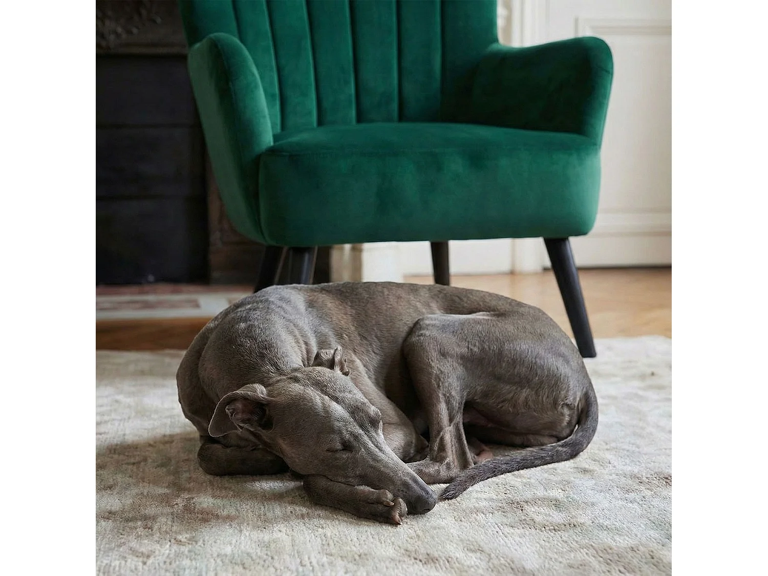 Fauteuil Scandinave Velours "Velvet" 94cm Vert