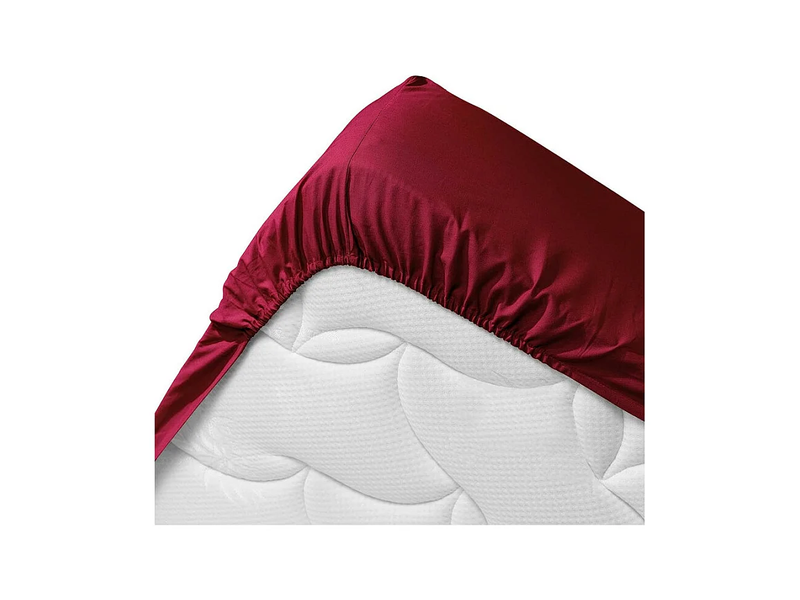 Drap Housse en Coton "Biolina" 90x190cm Bordeaux