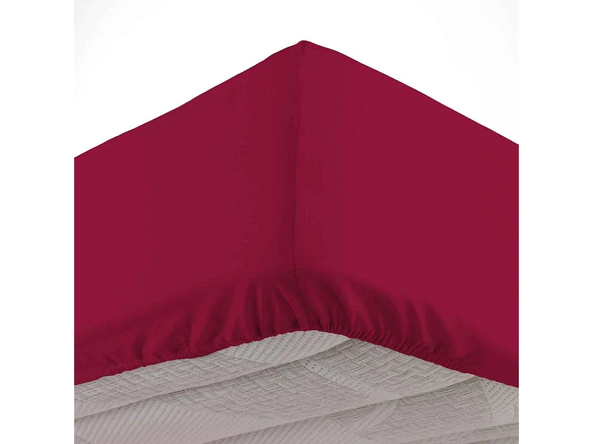 Drap Housse en Coton "Biolina" 90x190cm Bordeaux