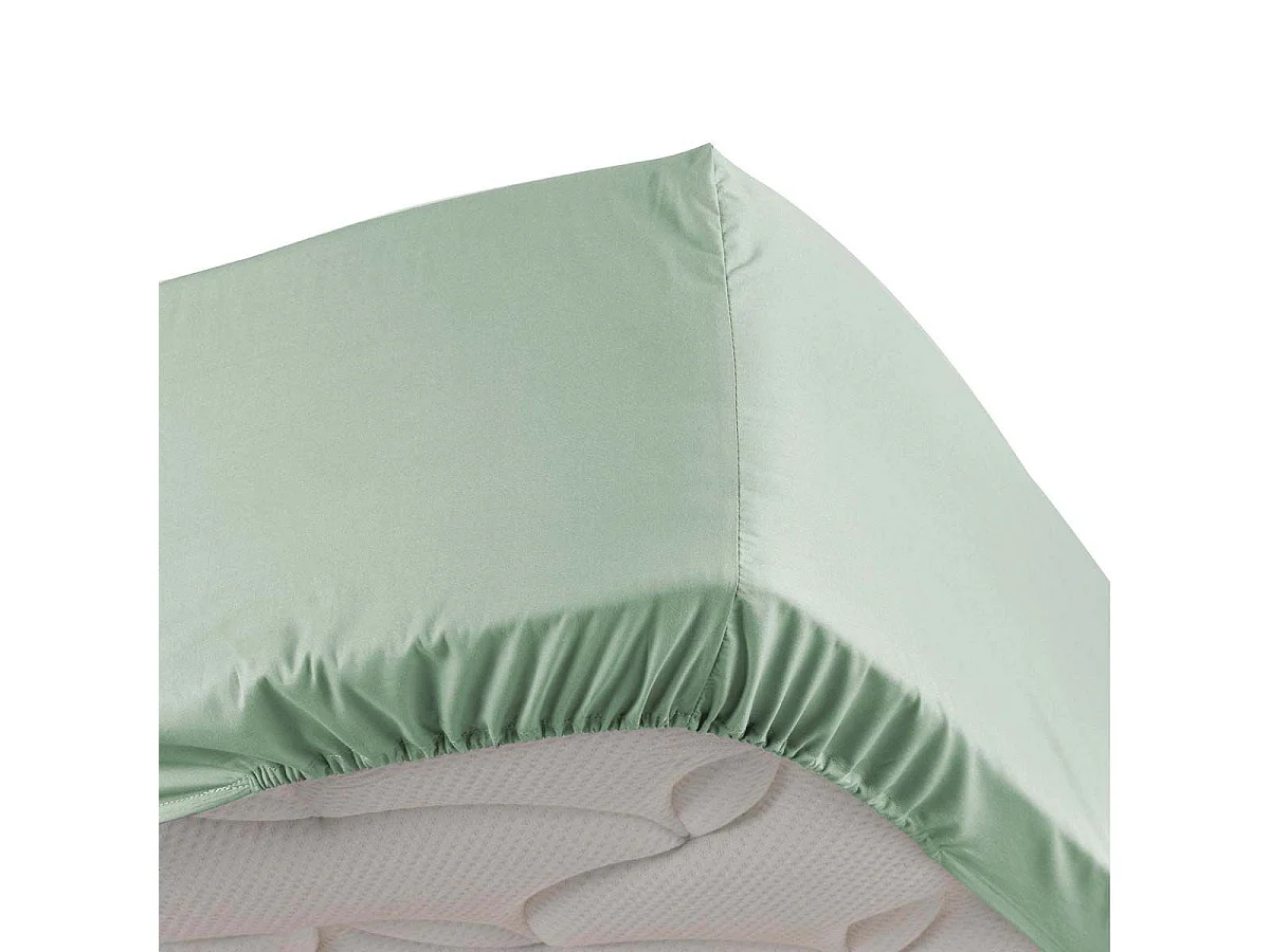 Drap Housse "Percaline" 180x200cm Sauge