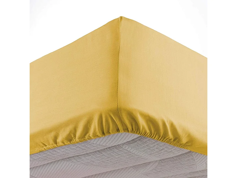 Drap Housse Microfibre "Oscar" 90x190cm Miel
