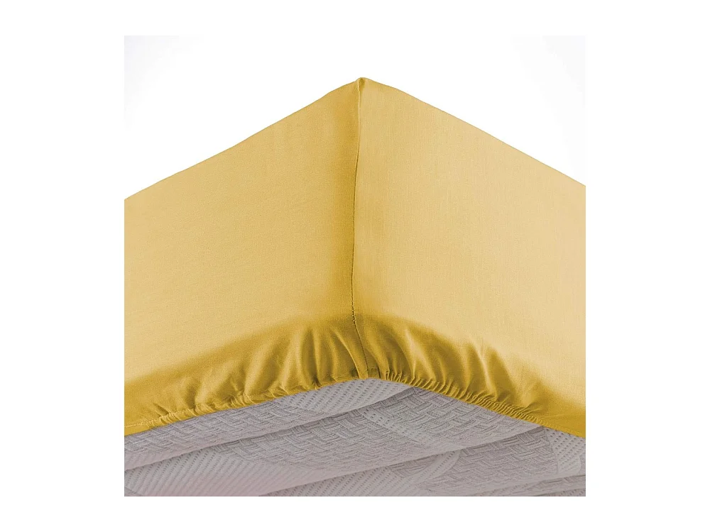 Drap Housse Microfibre "Oscar" 90x190cm Miel