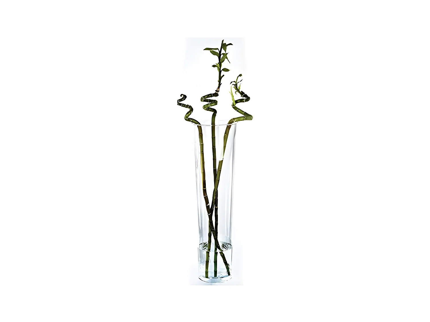 Vase Design "Conique" 70cm Transparent