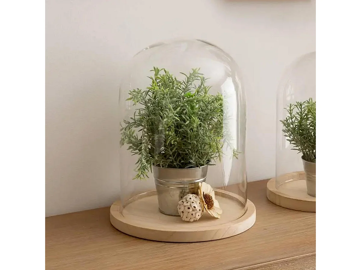 Cloche Décorative en Verre "Shine" 29cm Naturel