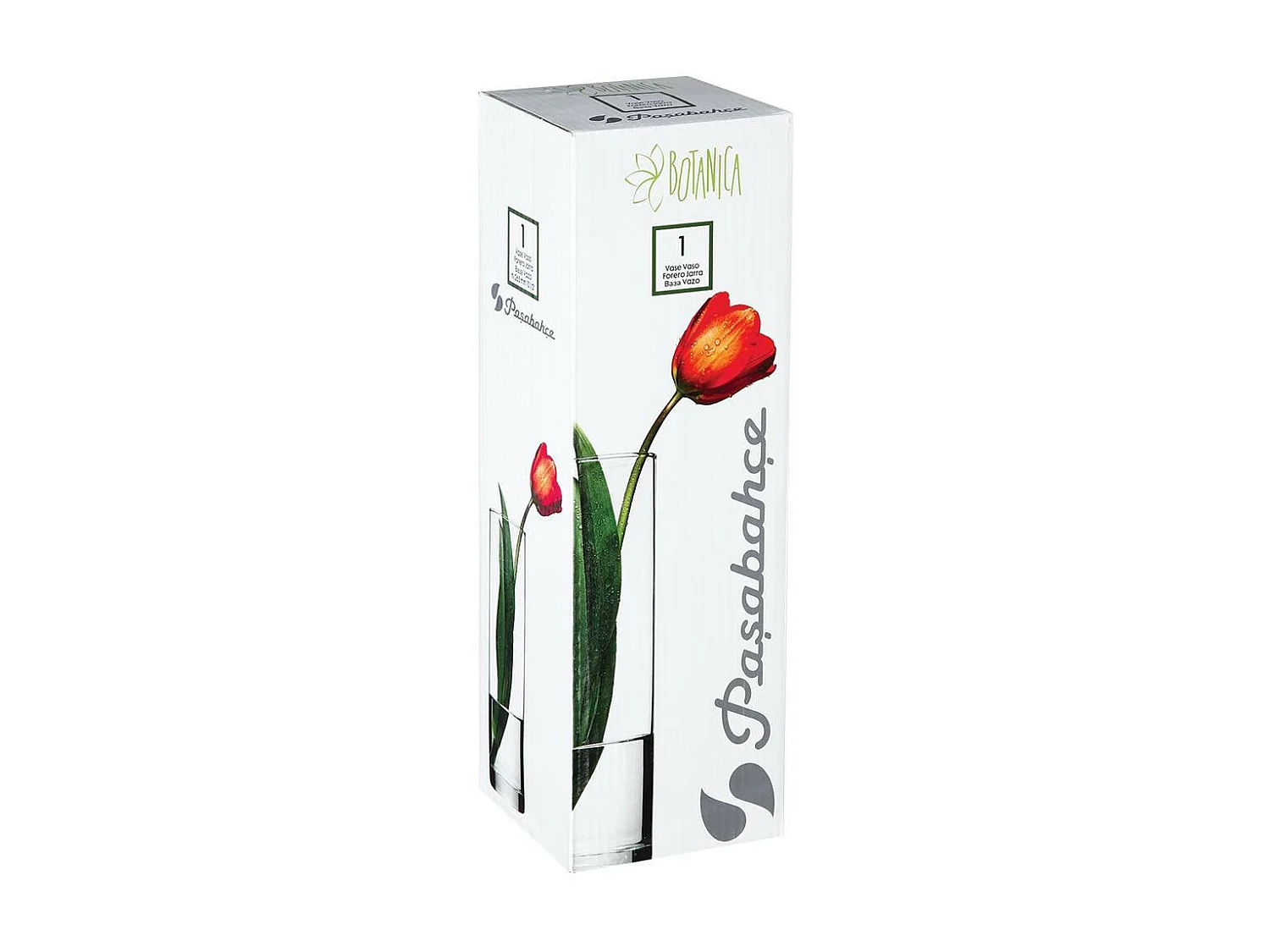 Vase Cylindrique "Flora" 26cm Transparent