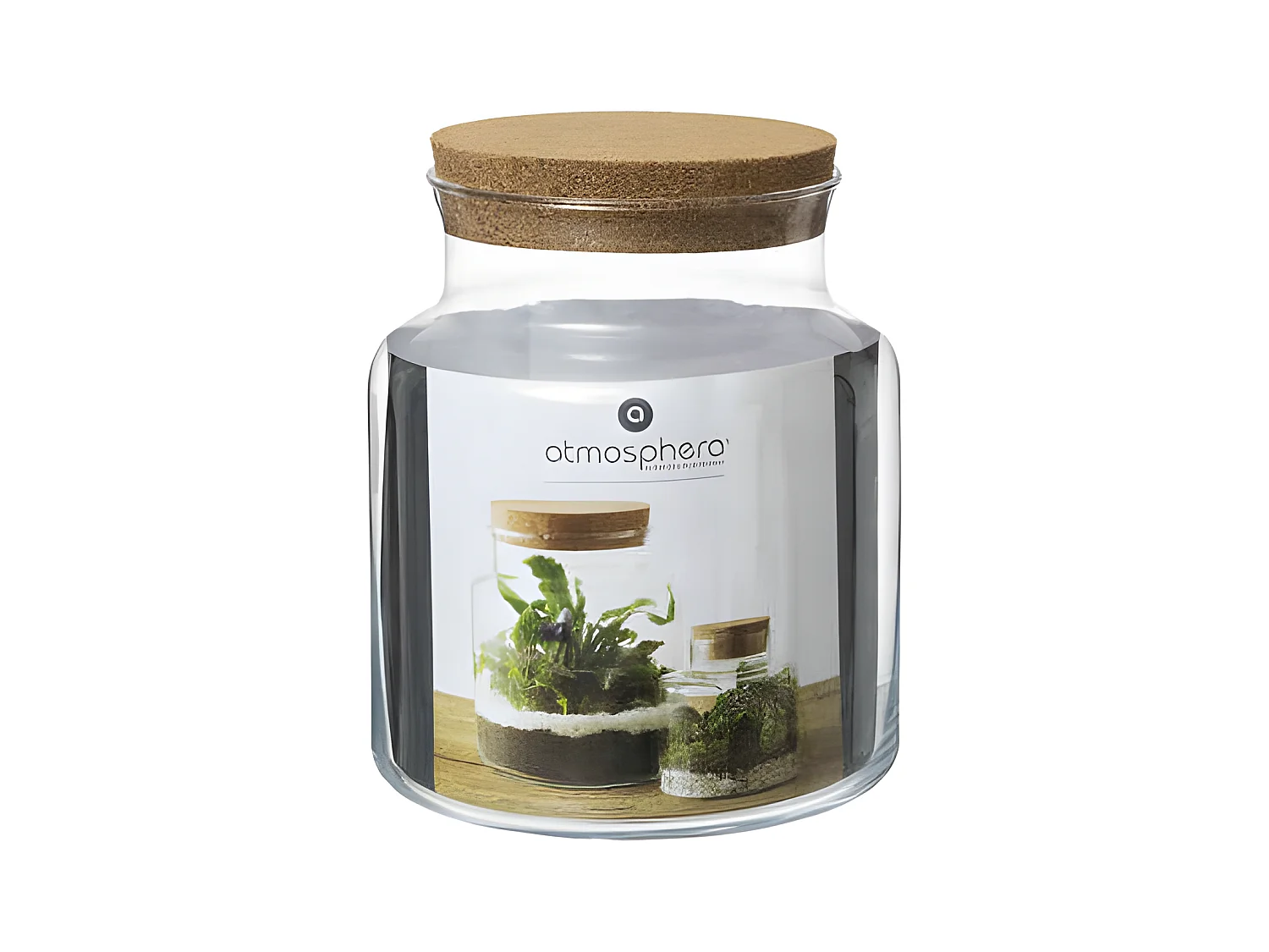 Terrarium en Verre "Bovaj" 21cm Transparent