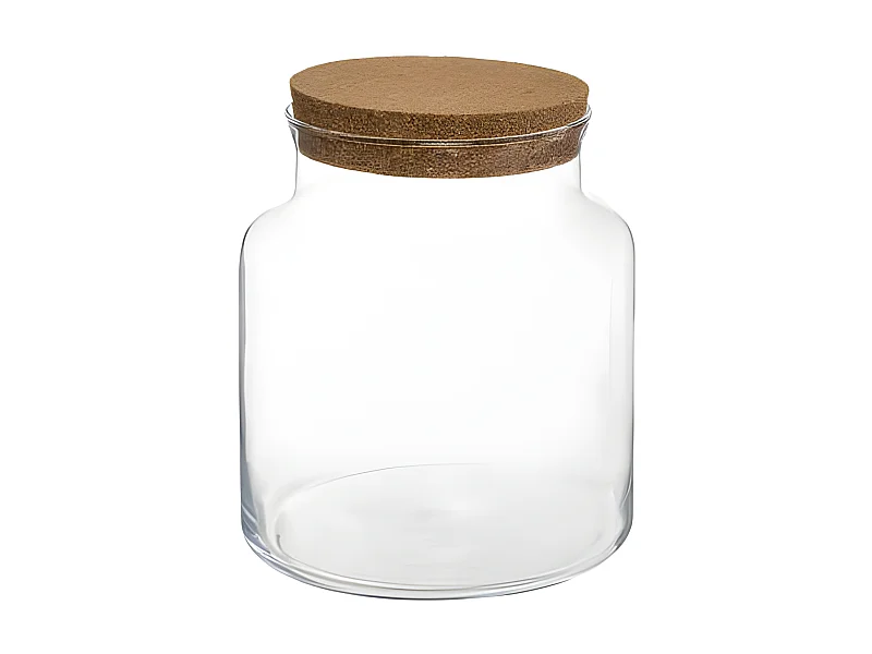 Terrarium en Verre "Bovaj" 21cm Transparent