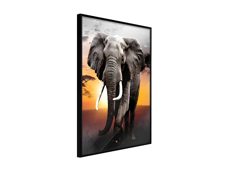 Affiche Murale Encadrée "Majestic Elephant" 21 x 30 cm Noir