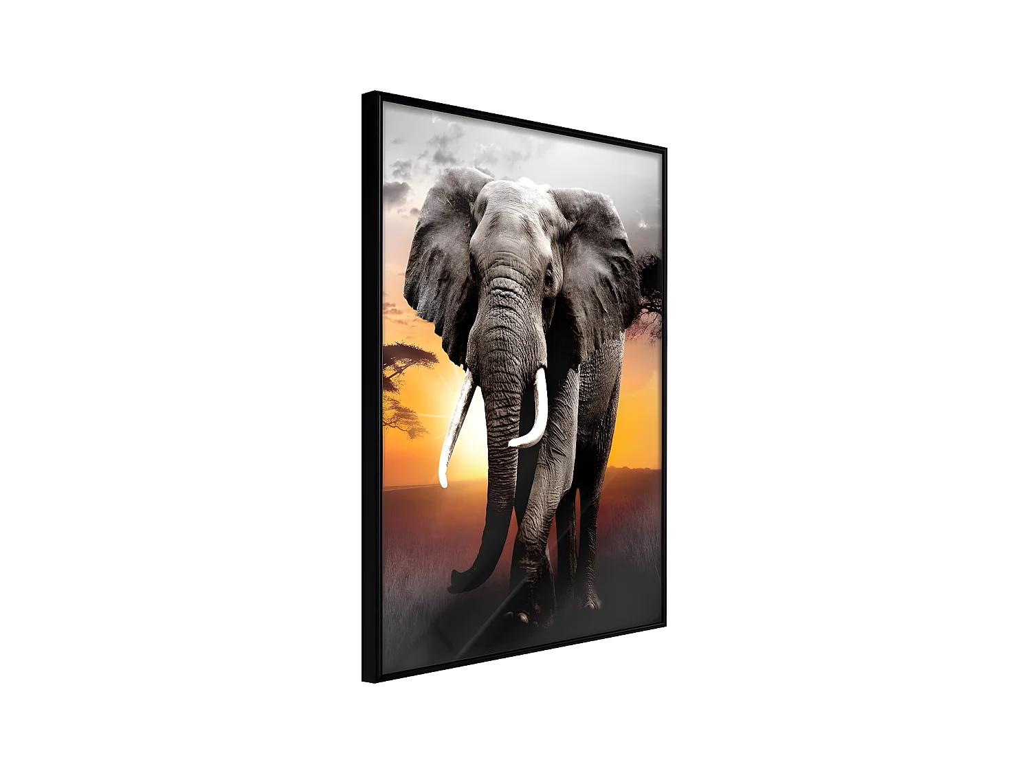 Affiche Murale Encadrée "Majestic Elephant" 21 x 30 cm Noir