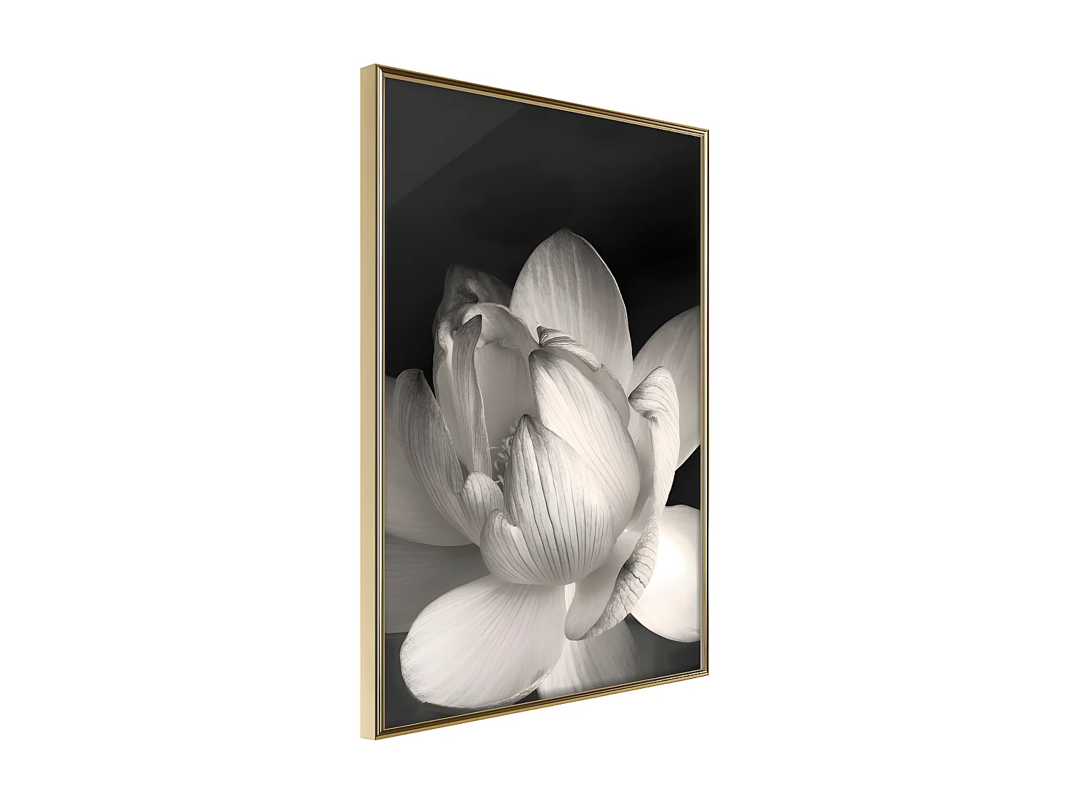 Affiche Murale Encadrée "Delicacy of a Flower" 40 x 60 cm Or