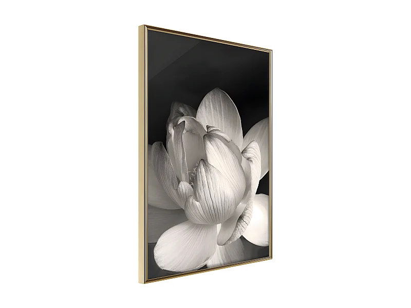 Affiche Murale Encadrée "Delicacy of a Flower" 40 x 60 cm Or