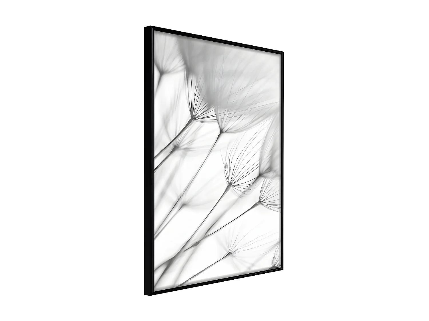 Affiche Murale Encadrée "Gentle Blow" 40 x 60 cm Noir