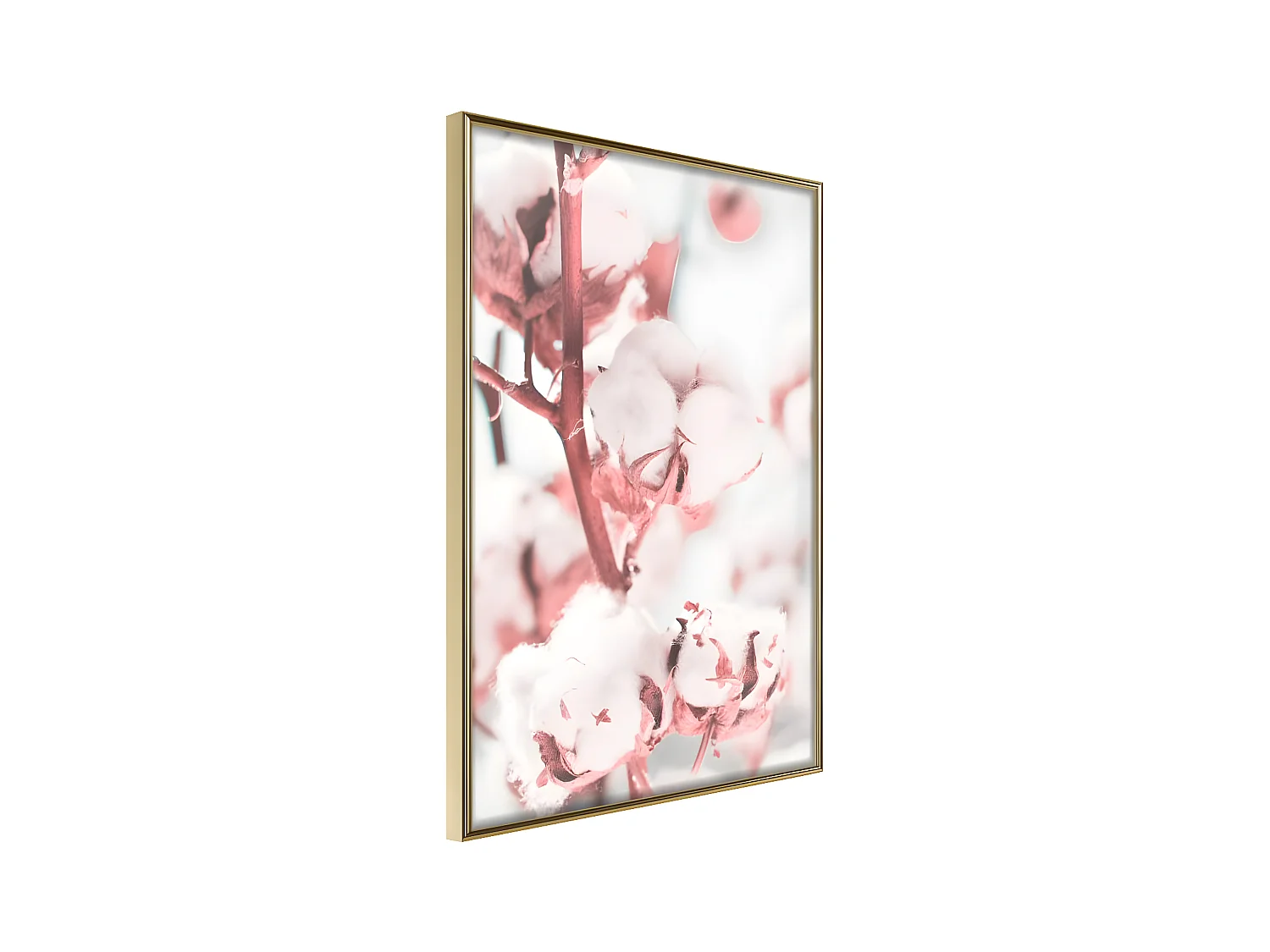 Affiche Murale Encadrée "Cotton Flowers" 30 x 42 cm Or