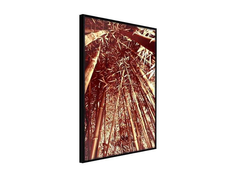 Affiche Murale Encadrée "Asian Forest" 40 x 60 cm Noir