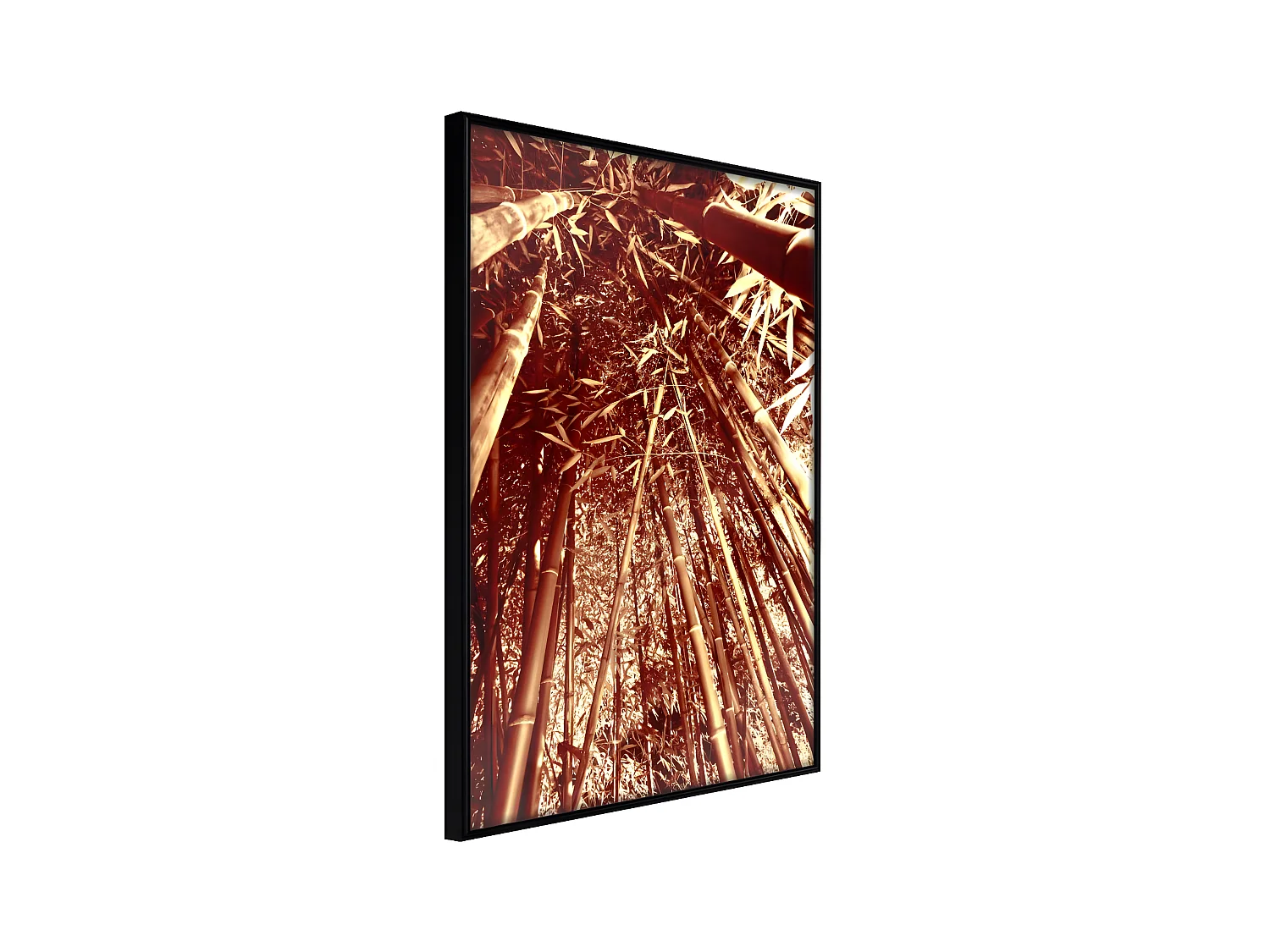 Affiche Murale Encadrée "Asian Forest" 40 x 60 cm Noir