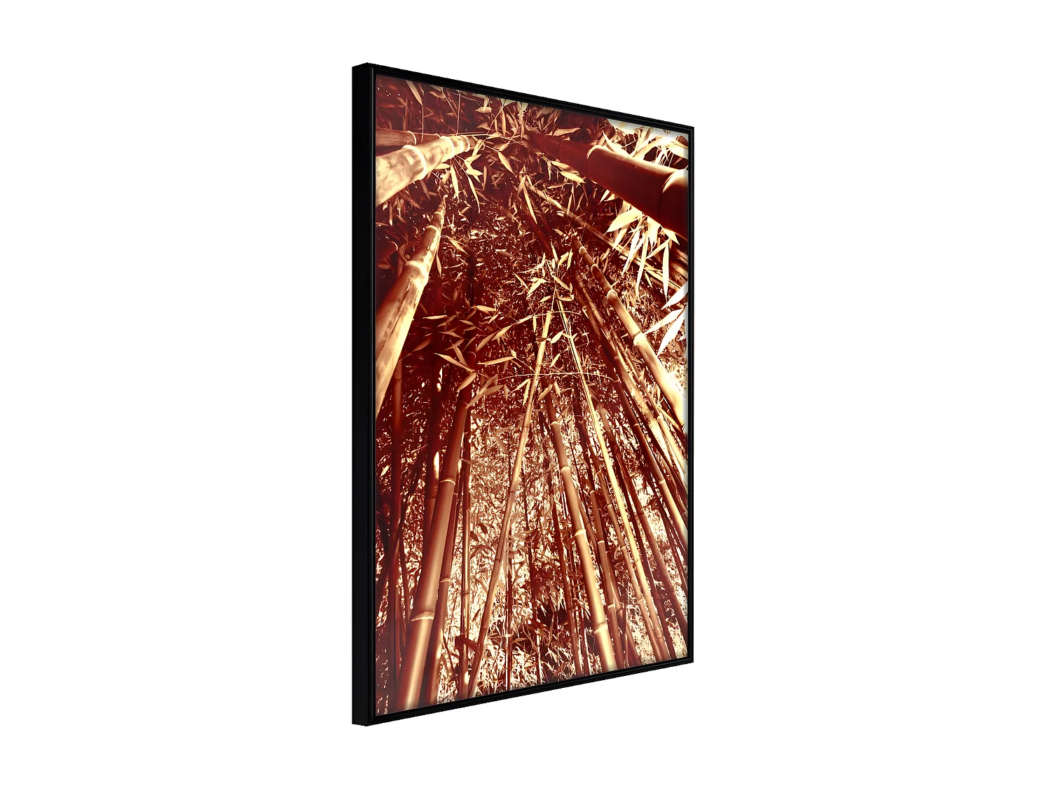 Affiche Murale Encadrée "Asian Forest" 40 x 60 cm Noir