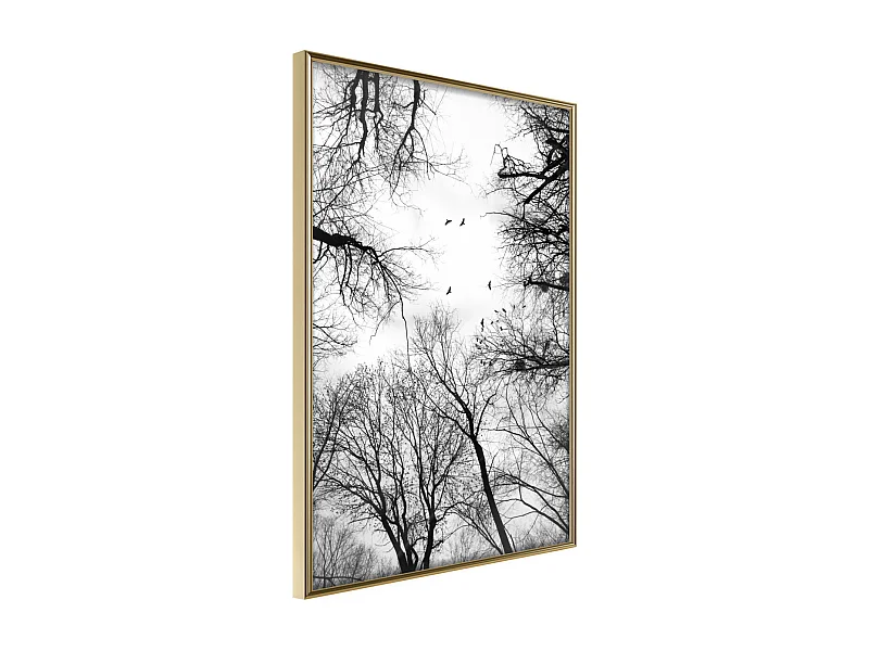 Affiche Murale Encadrée "Treetops" 30 x 42 cm Or