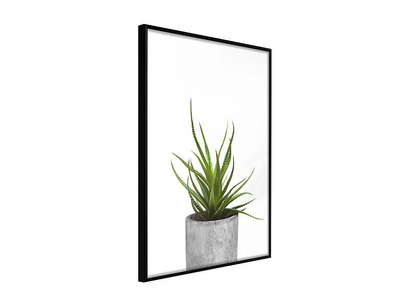 Affiche Murale Encadrée "Piece of Nature I" 30 x 42 cm Noir