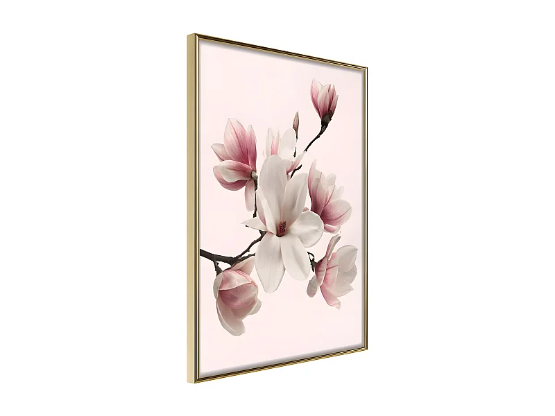 Affiche Murale Encadrée "Blooming Magnolias I" 30 x 42 cm Or