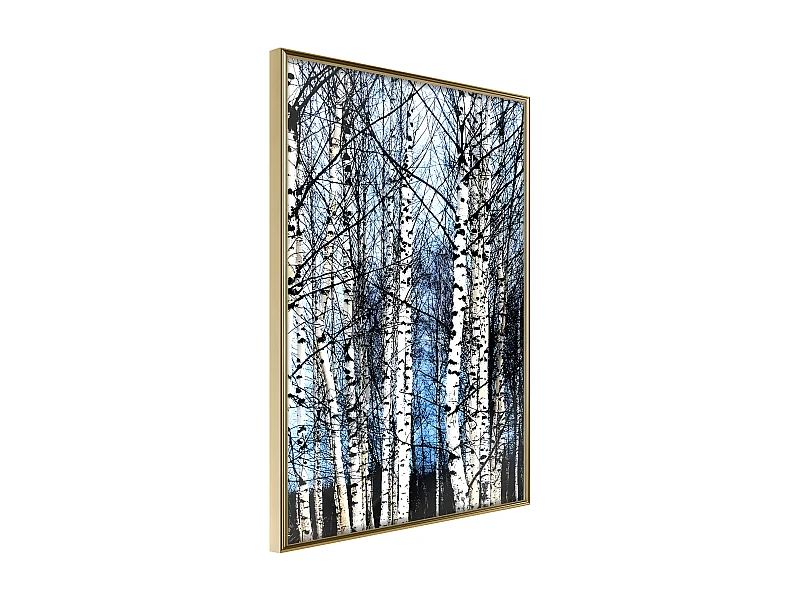 Affiche Murale Encadrée "Winter Birch Trees" 30 x 42 cm Or