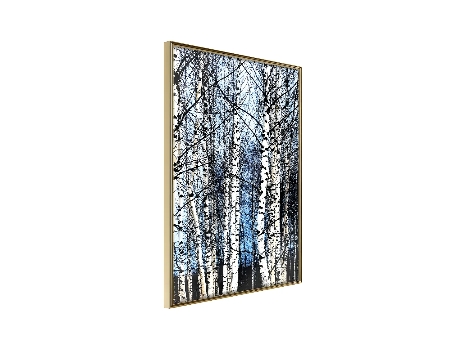 Affiche Murale Encadrée "Winter Birch Trees" 30 x 42 cm Or