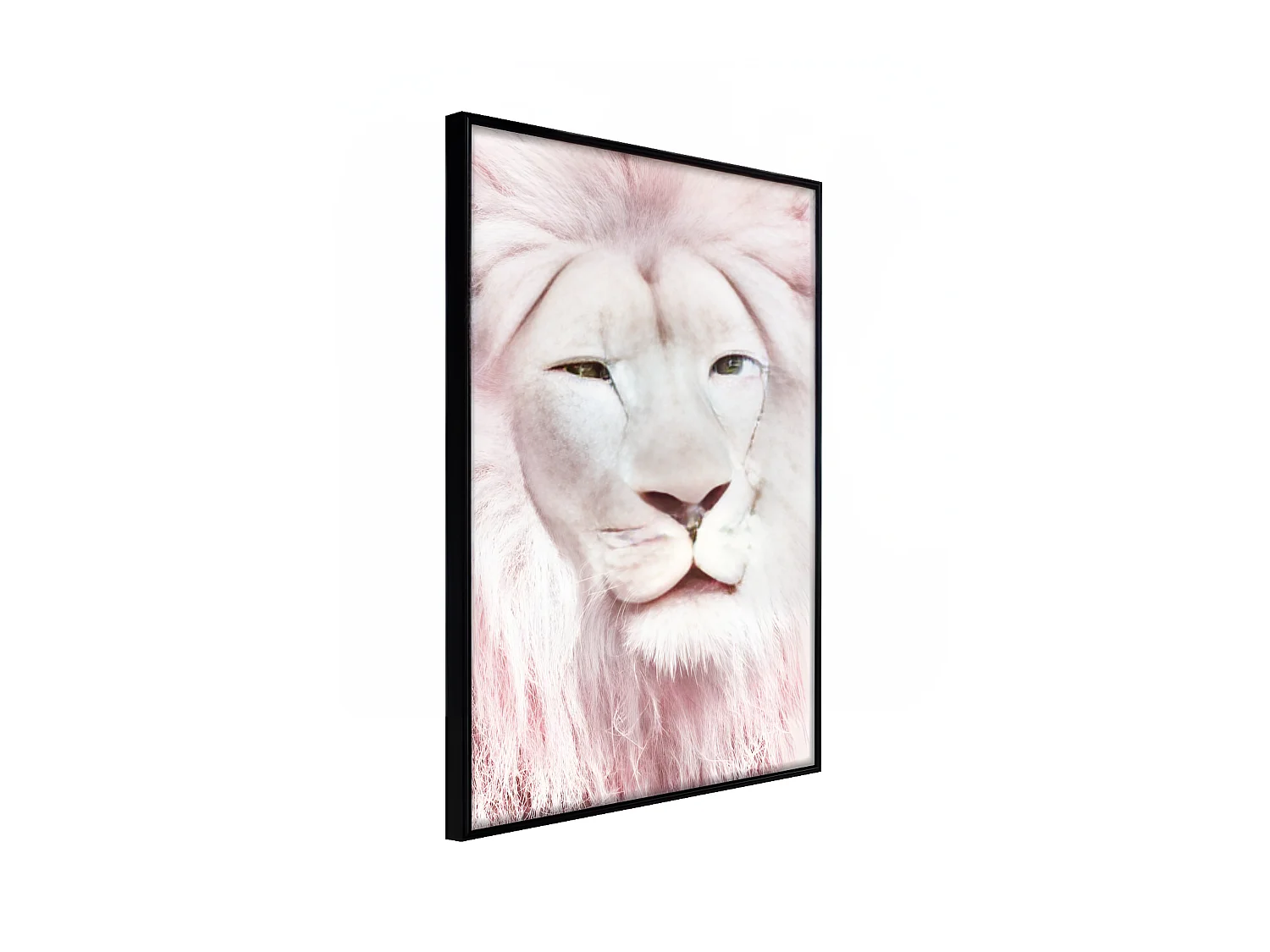 Affiche Murale Encadrée "Dreamy Lion" 21 x 30 cm Noir