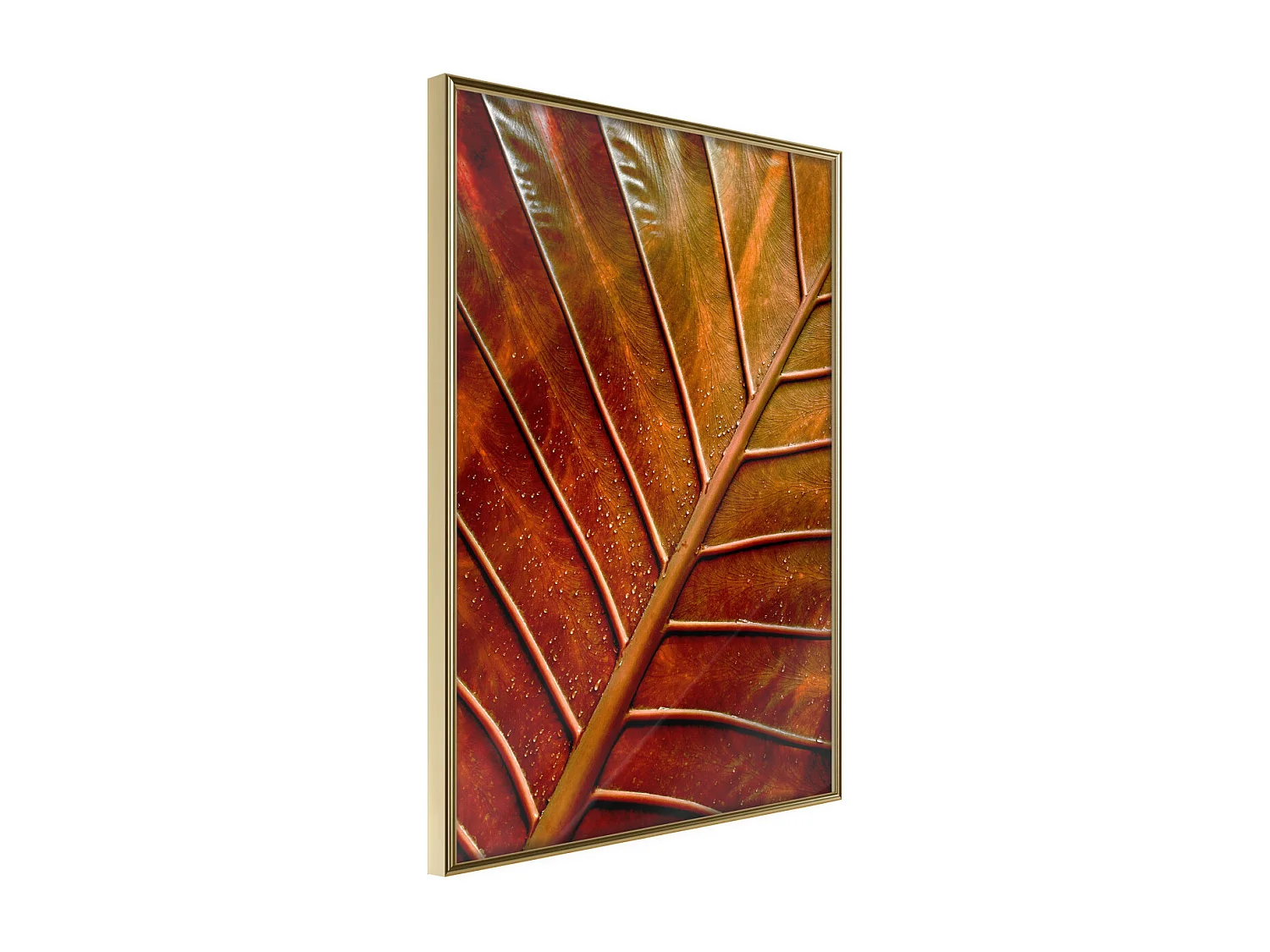 Affiche Murale Encadrée "Bronze Leaf" 21 x 30 cm Or