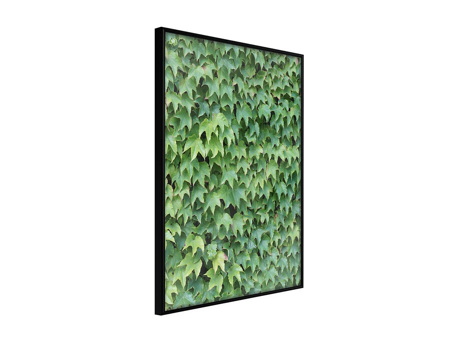 Affiche Murale Encadrée "Hidden" 40 x 60 cm Noir