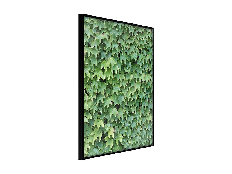 Affiche Murale Encadrée "Hidden" 40 x 60 cm Noir