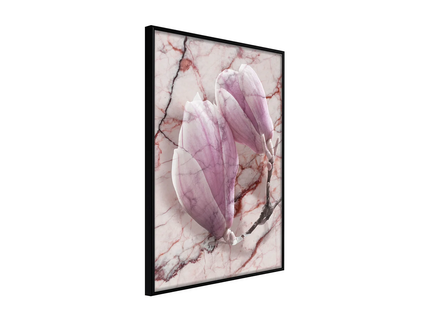 Affiche Murale Encadrée "Magnolia on Marble Background" 21 x 30 cm Noir
