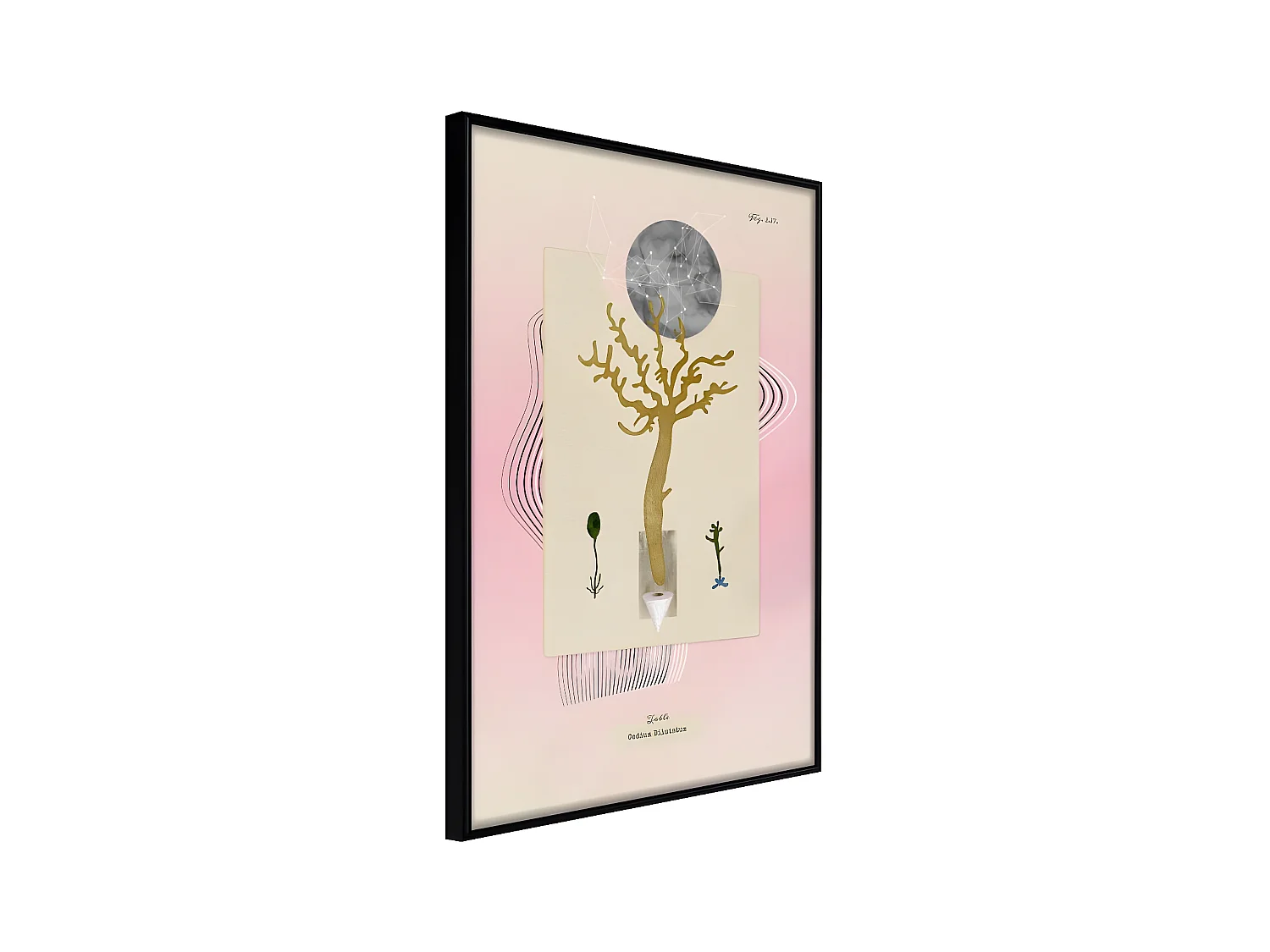 Affiche Murale Encadrée "Aquatic Plant" 21 x 30 cm Noir