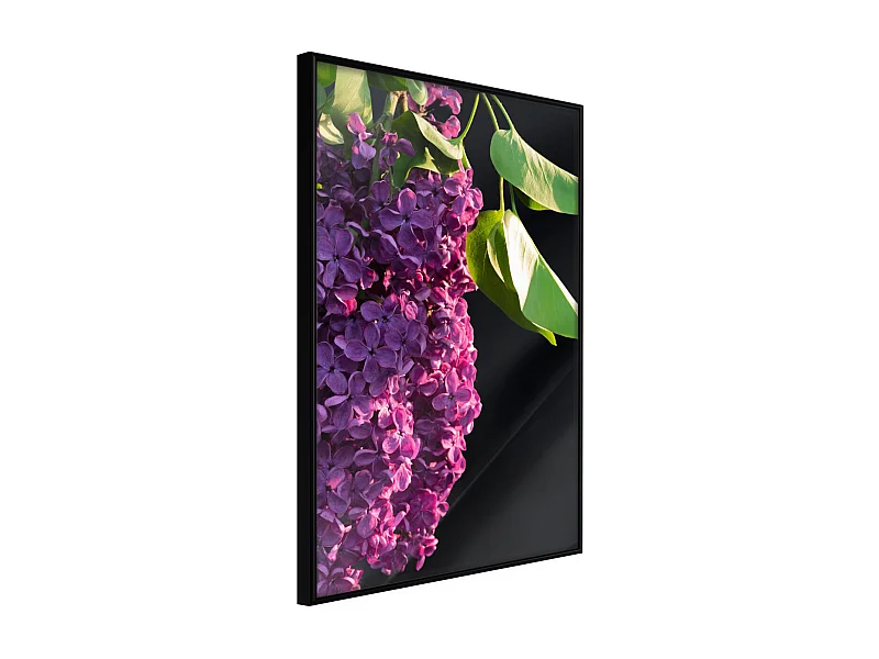 Affiche Murale Encadrée "Violet May" 21 x 30 cm Noir