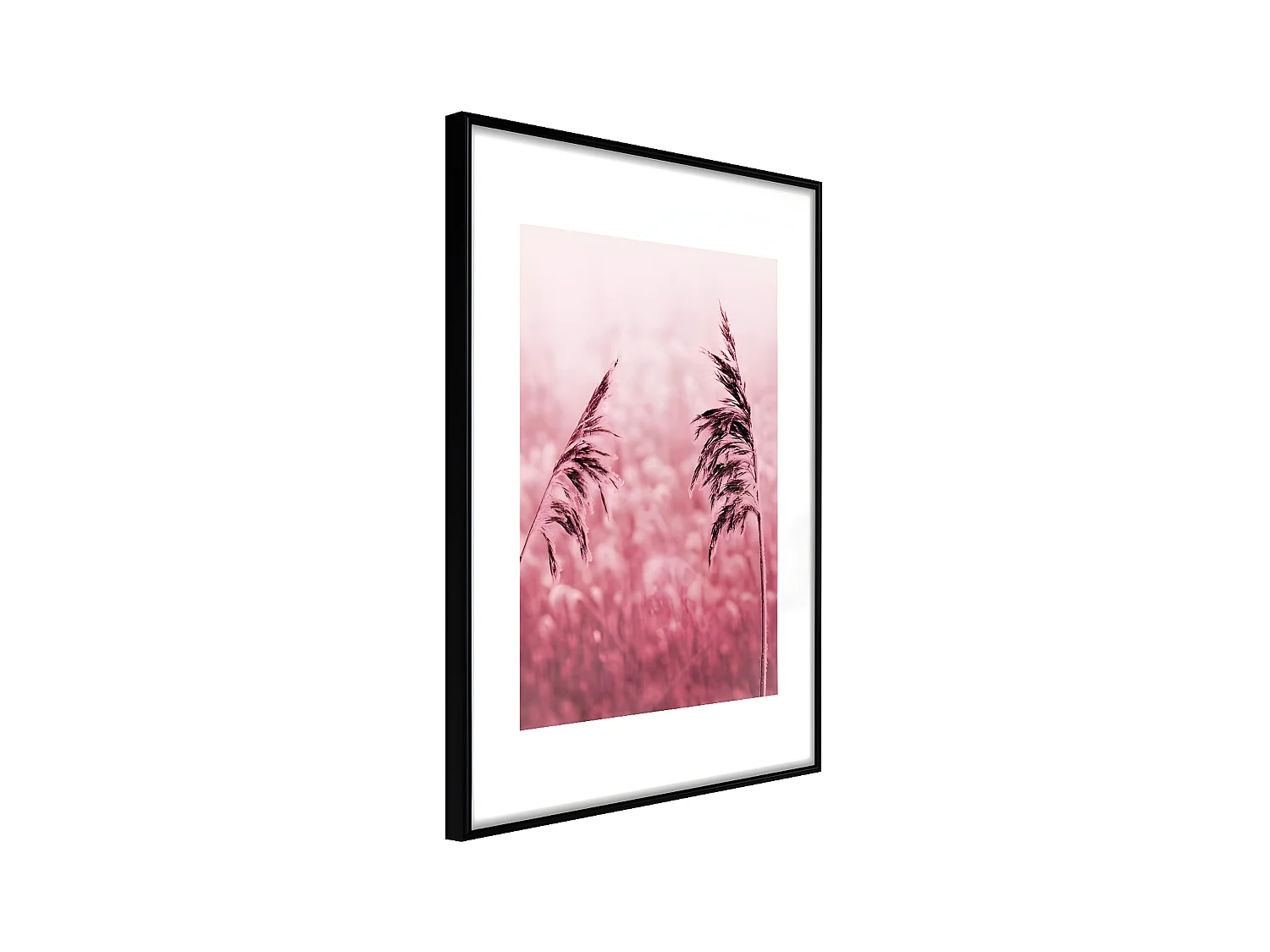 Affiche Murale Encadrée "Amaranth Meadow" 21 x 30 cm Noir