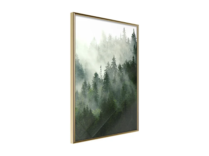 Affiche Murale Encadrée "Steaming Forest" 30 x 42 cm Or