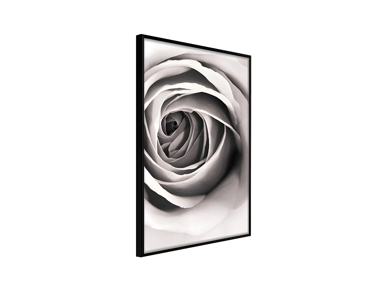 Affiche Murale Encadrée "Structure of Petals" 40 x 60 cm Noir